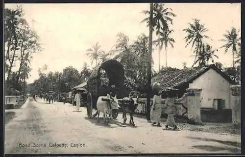 AK Colombo, Colpetty, Road Scene, Büffelkarren