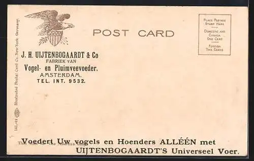 AK Jamestown, NY, Bird`s-eye view of Celoron