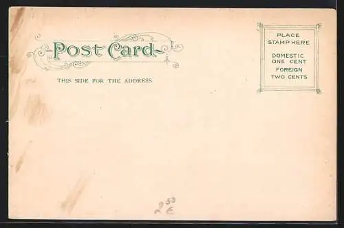 AK Washington D.C., White House