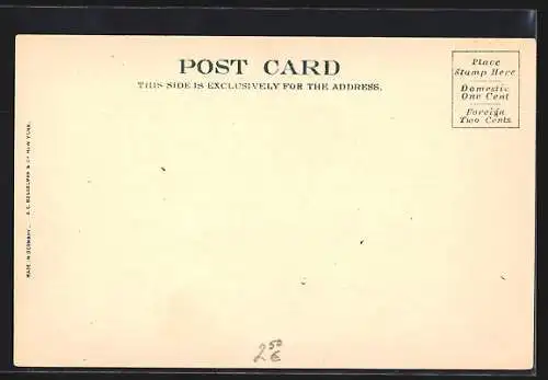 AK Washington D.C., U. S. Congressional Library