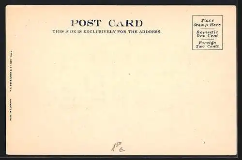 AK Washington D.C., White House