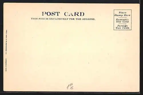 AK Washington D.C., White House