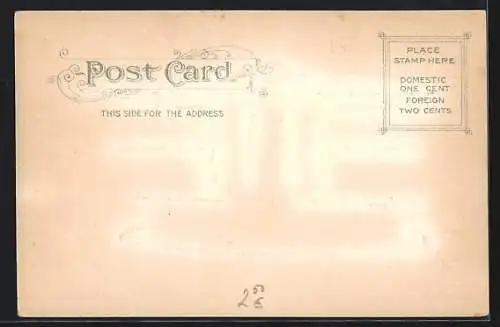 AK Washington D.C., White House