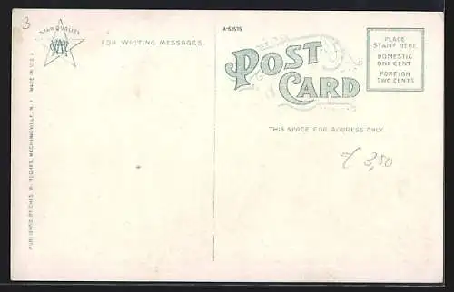 AK Albany, NY, State Capitol, birds-eye view