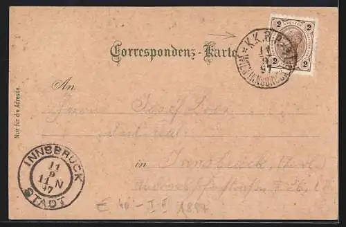 Lithographie Bischofshofen, Gesamtansicht, Gasthaus Mitterberg, Wasserfall