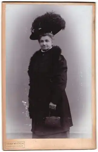 Fotografie Atelier Wertheim, Berlin, Leipziger Str., Porträt einer Dame mit Federhut