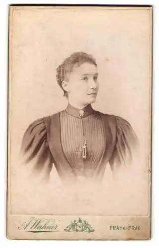 Fotografie A. Wahner, Praha, Poric 17, Porträt einer Dame