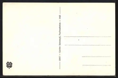 AK Puchenstuben a.d. Mariazellerbahn, Strassenansicht mit Hotel Burger