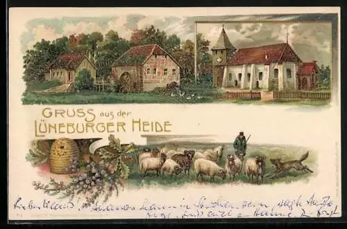 Lithographie Lüneburger Heide, Kirche, Mühle, Schafhirte, Bienenstock
