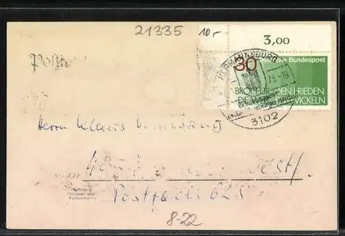 Lithographie Lüneburger Heide, Kirche, Mühle, Schafhirte, Bienenstock