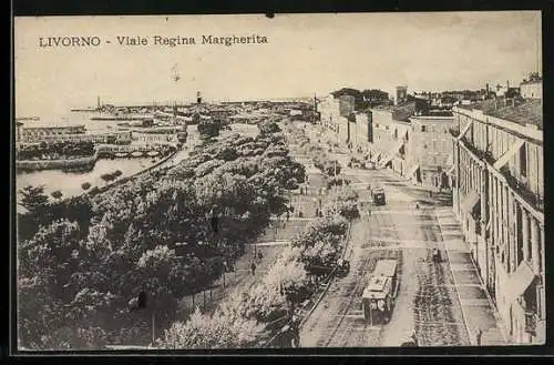 AK Livorno, viale Regina Margherita, Strassenbahn