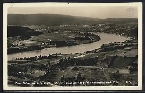 AK Maria-Taferl a. d. Donau, Blick über Donauschlinge bei Säusenstein nach Ybbs