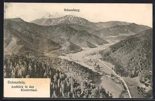 AK Gutenstein, Ausblick in das Klosterthal mit Schneeberg