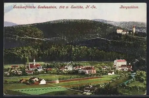 AK Seebenstein /N.-Oe., Ortsansicht mit Bergschloss