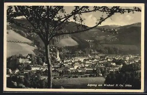 AK Aspang am Wechsel, Ortsansicht mit Berglandschaft
