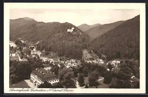 AK Gutenstein /N.-Oe., Ortsansicht mit Ruine