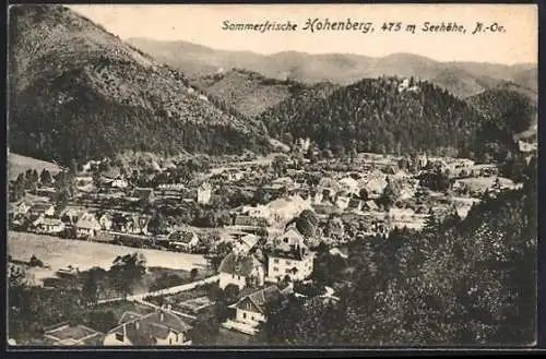 AK Hohenberg /N.-Oe., Blick auf den Ort umgeben von Bergen