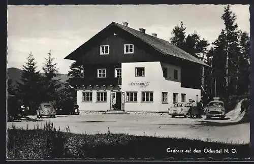AK Hohenberg /N. Ö., Gasthaus Ochsattel
