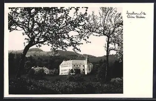AK Gresten /N.-Oe., Blick auf Schloss Stiebar