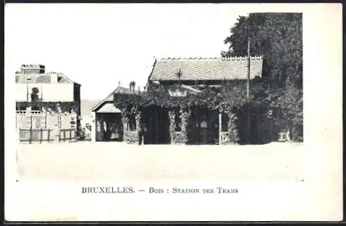 AK Brüssel / Bruxelles, station des Trams