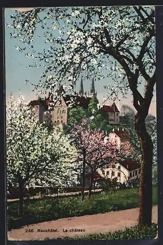 AK Neuchâtel, Le château