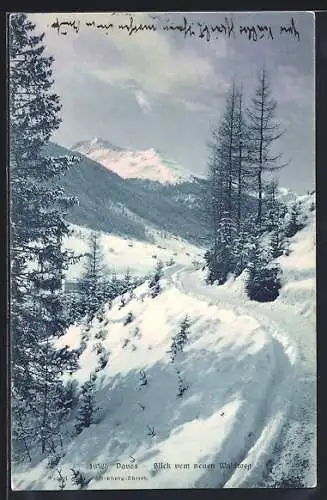 AK Davos, Blick vom neuen Waldweg im Winter