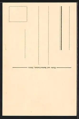 AK Amsteg /Gotthardbahn, Teilansicht mit Windgälle