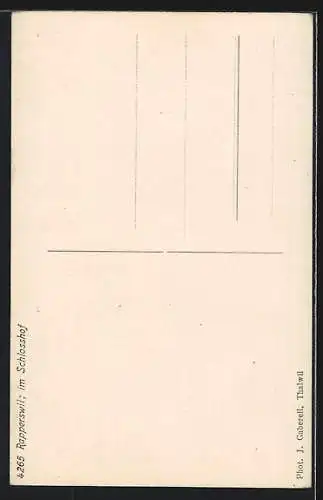 AK Rapperswil, Denkmal im Schlosshof