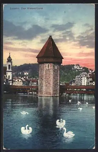 AK Luzern, Wasserturm mit Schwänen