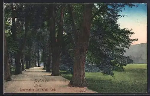 AK Greiz, Lindenallee im Fürstl. Park
