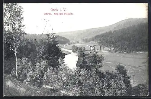 AK Greiz i. V., Weg nach Brettmühle