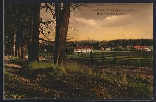 AK Waldhaus bei Greiz, Blick vom Mausoleum