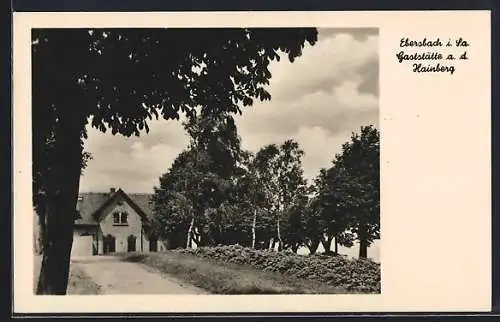 AK Ebersbach i. Sa., Gaststätte a. d. Hainberg