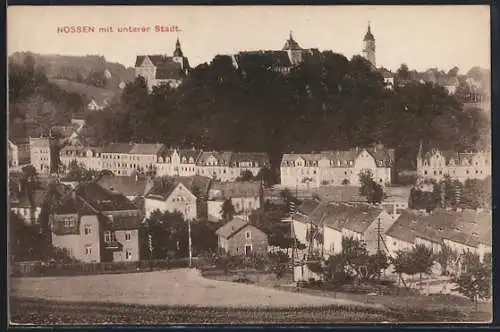 AK Nossen, Untere Stadt mit Schloss und Kirche