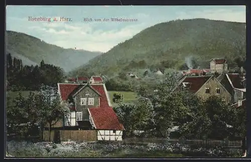 AK Ilsenburg a. Harz, Blick von der Wilhelmstrasse