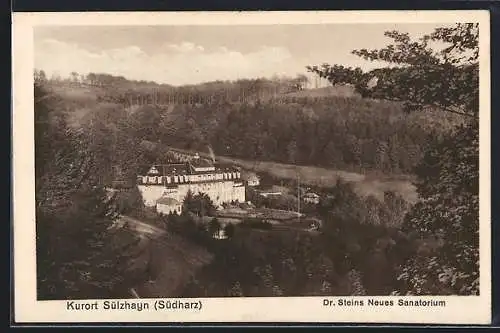 AK Sülzhayn /Südharz, Dr. Steins Neues Sanatorium