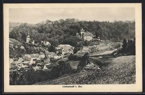 AK Liebstadt i. Sa., Ortsansicht mit Schloss und Kirche