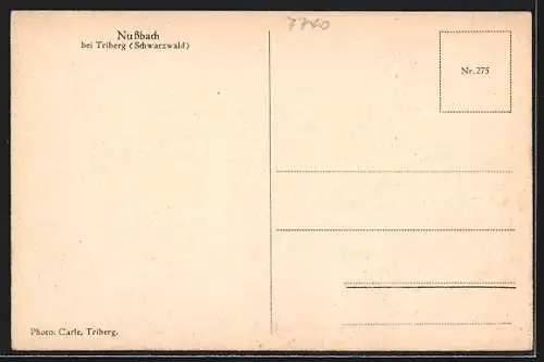 AK Nussbach bei Triberg, Ortsansicht aus der Vogelschau