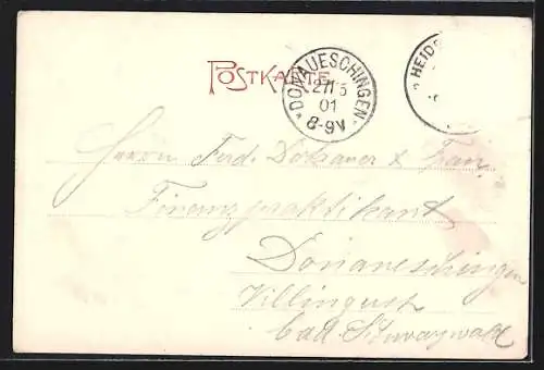 AK Heidelberg / Neckar, Schlossansicht im Efeublatt-Passepartout