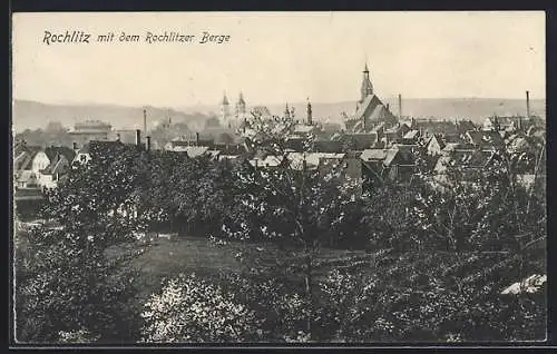 AK Rochlitz, Ortsansicht mit dem Rochlitzer Berge
