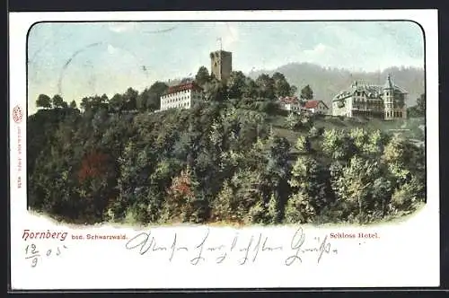 AK Hornberg /bad. Schwarzwald, Schloss Hotel