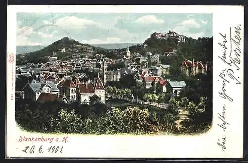 AK Blankenburg a. H., Stadtansicht mit Schloss und Kirche