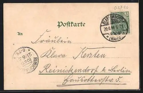 AK Blankenburg a. H., Stadtansicht mit Schloss und Kirche