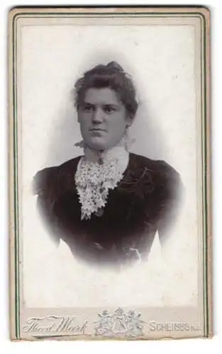 Fotografie Theodor Mark, Scheibbs, Frau im eleganten Kleid