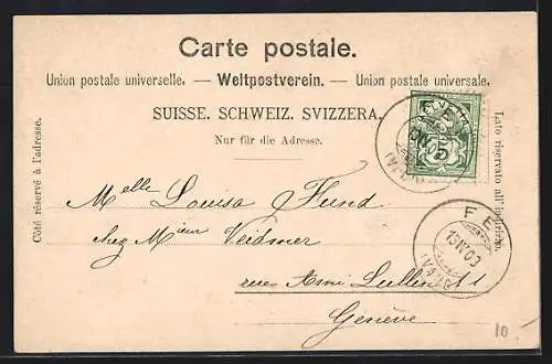 AK Montreux, Chateau de Chatelard, Fêtes du Centenaire de l`Indépendance Vaudoise 1903, Vue générale