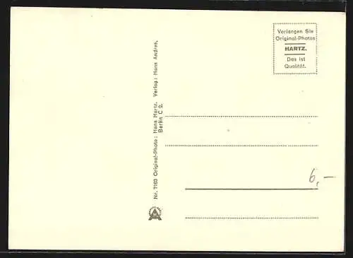 AK Berlin, Unter den Linden, flagge