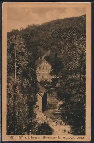 AK Weinheim / Bergstrasse, Fuchs'sche Mühle im Birkenauer Tal