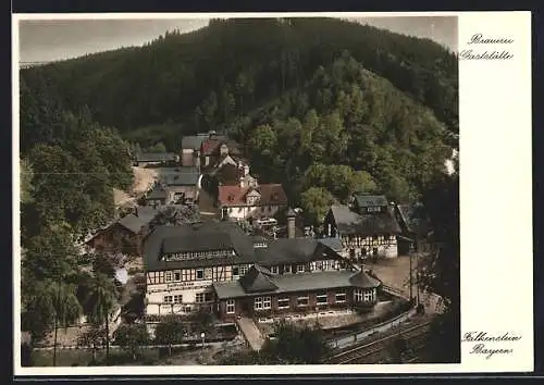 AK Falkenstein / Oberfranken, Gasthaus Brauerei Falkenstein