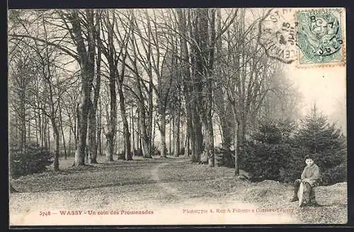 AK Wassy, Un coin des Promenades