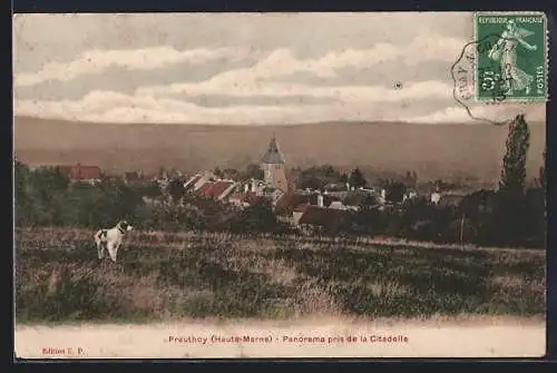 AK Preuthoy /Haute-Marne, Panorama pris de la Citadelle